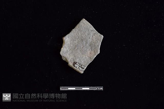 陶片藏品圖，第2張