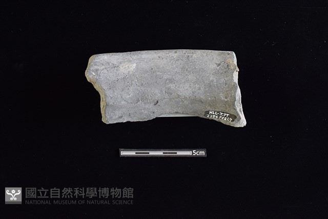 陶罐藏品圖，第2張