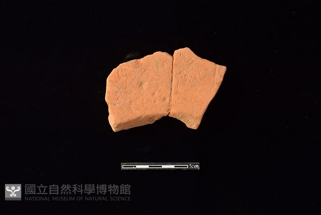 連杯形器藏品圖，第2張