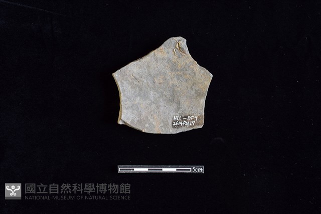 陶片藏品圖，第2張