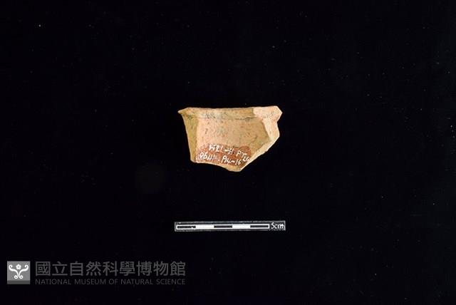 陶片藏品圖，第2張