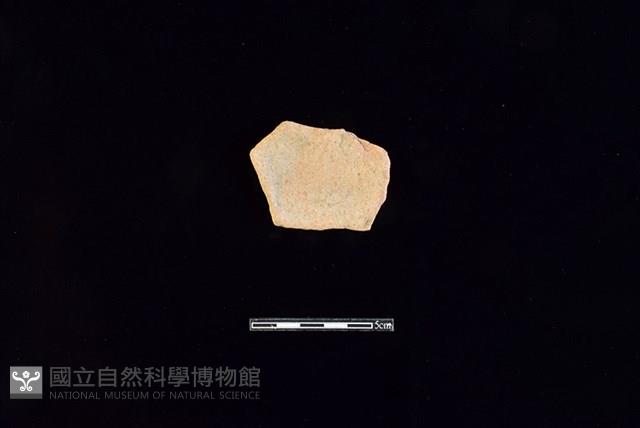 陶片藏品圖，第2張