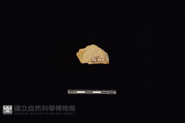 陶片藏品圖，第2張