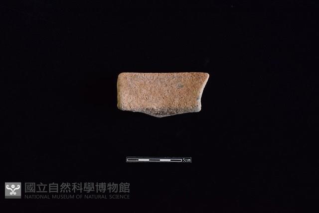 陶罐藏品圖，第2張