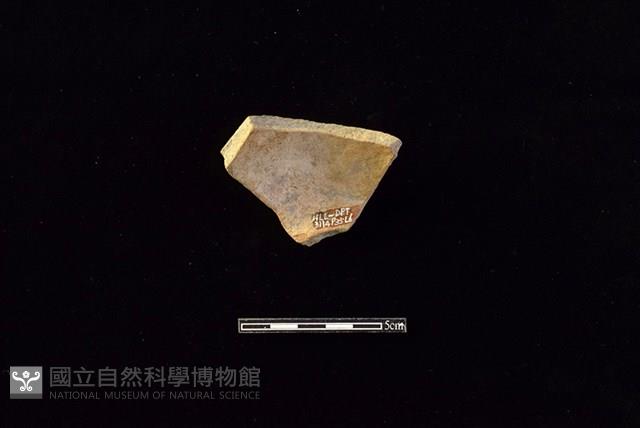 陶片藏品圖，第2張