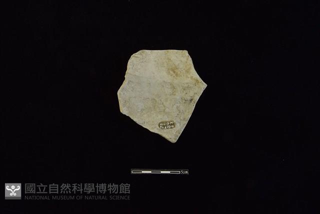 陶罐藏品圖，第2張