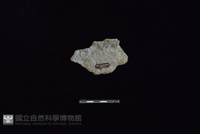 陶片藏品圖，第2張