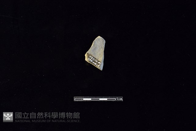 陶片藏品圖，第2張