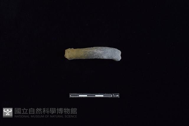 陶把藏品圖，第2張