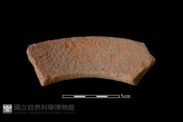 陶罐藏品圖，第2張