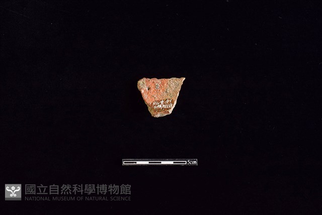 陶片藏品圖，第2張