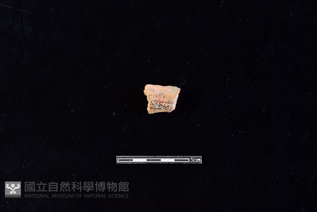 陶罐藏品圖，第2張