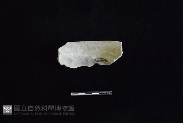 陶罐藏品圖，第2張