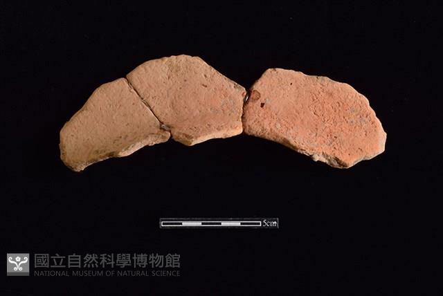 Accession Number:HLL-J PT1474 Collection Image, Figure 2, Total 2 Figures