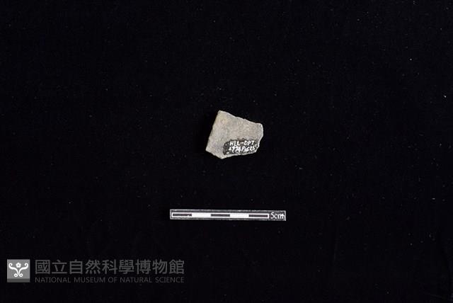 陶片藏品圖，第2張