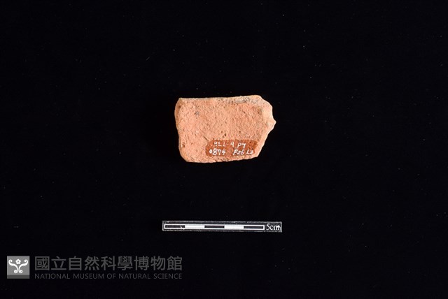 陶片藏品圖，第2張