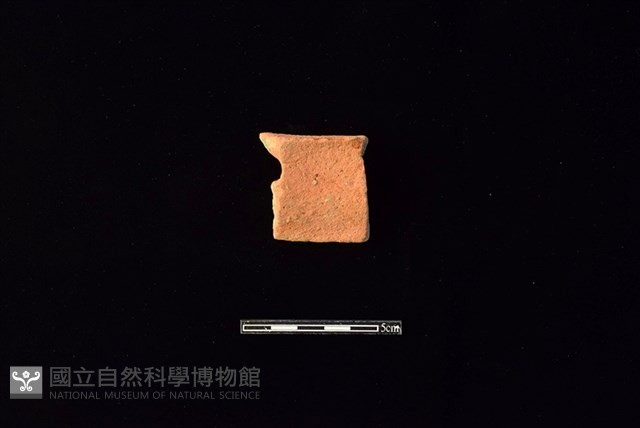 陶片藏品圖，第2張