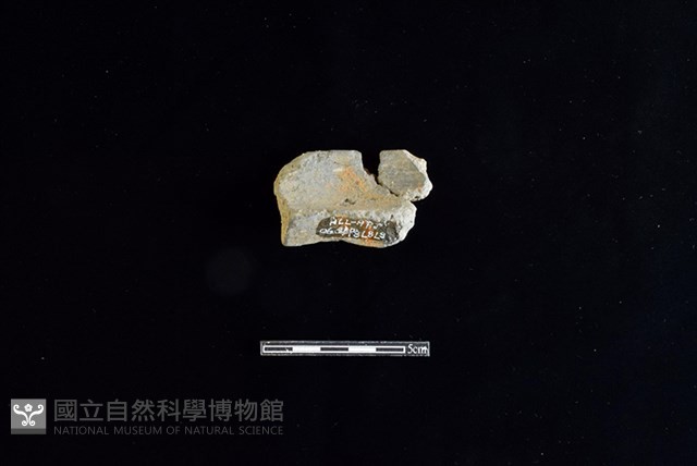 陶罐藏品圖，第2張