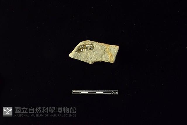 Accession Number:HLL-H PT0204 Collection Image, Figure 2, Total 2 Figures