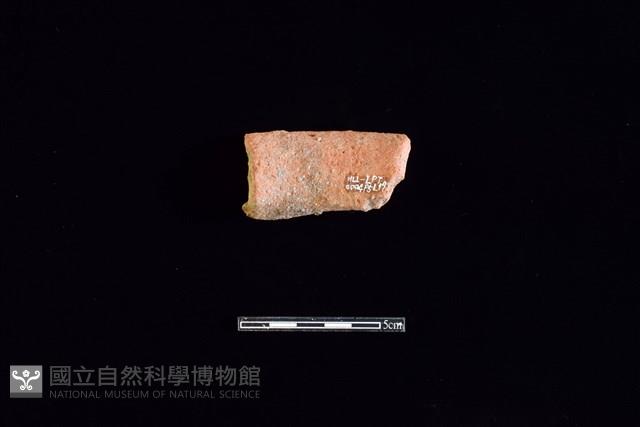 陶罐藏品圖，第2張