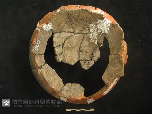 陶片藏品圖，第2張