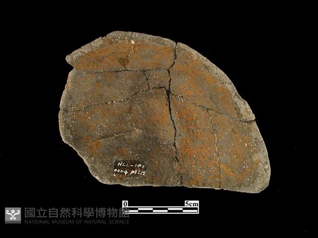 陶缽藏品圖，第2張