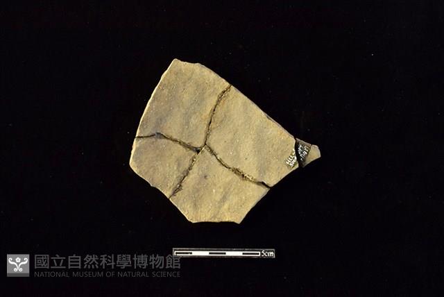 陶片藏品圖，第2張