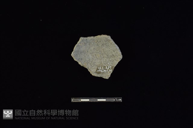 陶片藏品圖，第2張