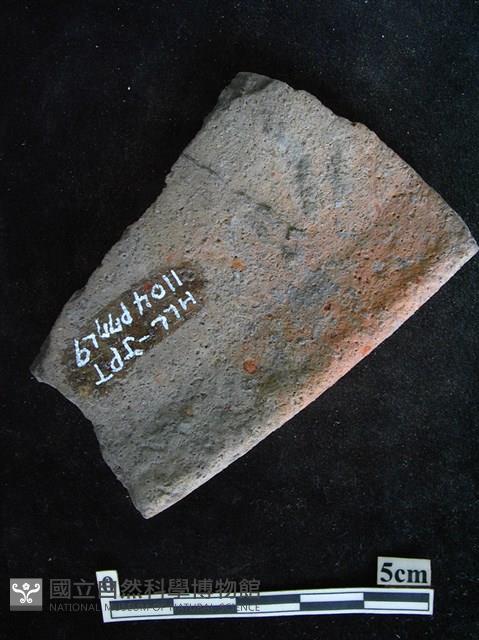 陶片藏品圖，第2張