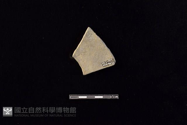 陶片藏品圖，第2張