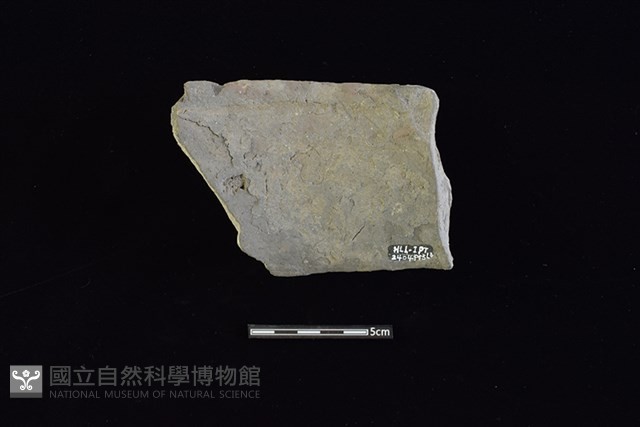 陶罐藏品圖，第2張