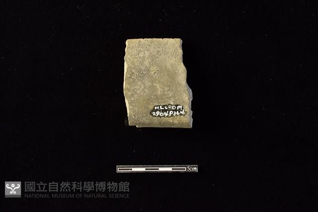 陶罐藏品圖，第2張