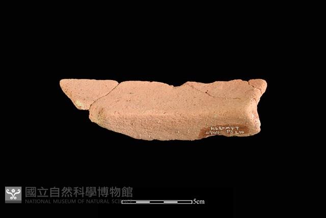 陶罐藏品圖，第2張