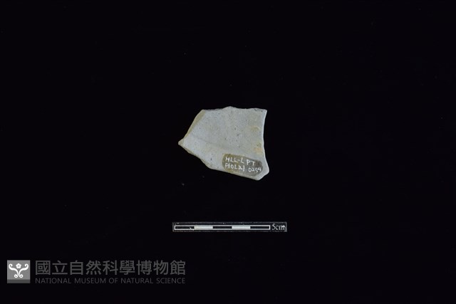 陶片藏品圖，第2張