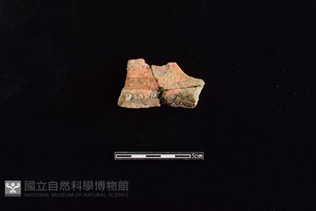 陶罐藏品圖，第2張