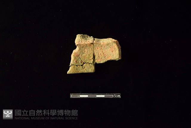 陶片藏品圖，第2張