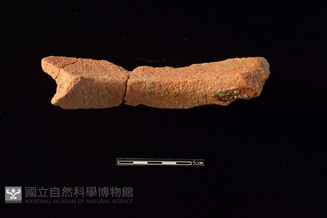 陶罐藏品圖，第2張