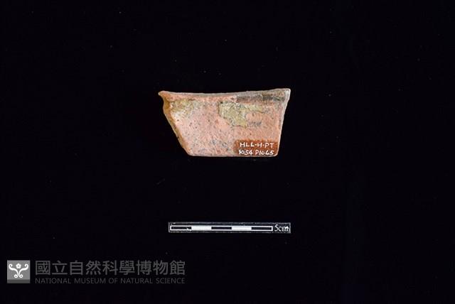 陶片藏品圖，第2張