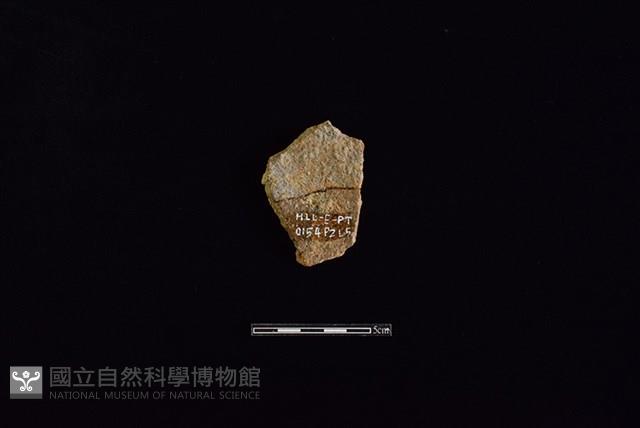 陶片藏品圖，第2張