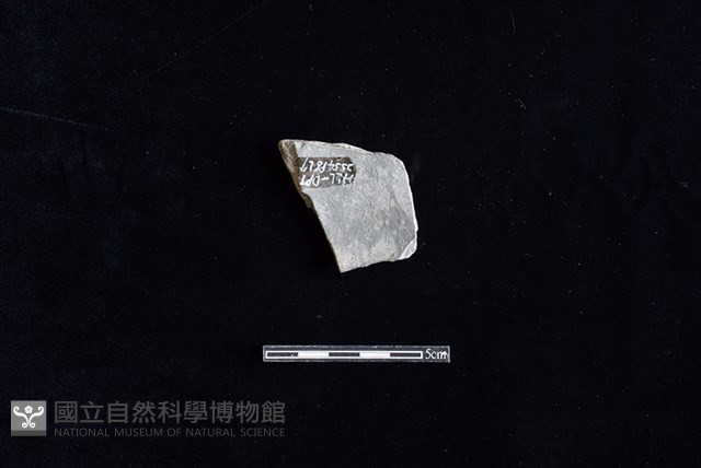 陶片藏品圖，第2張