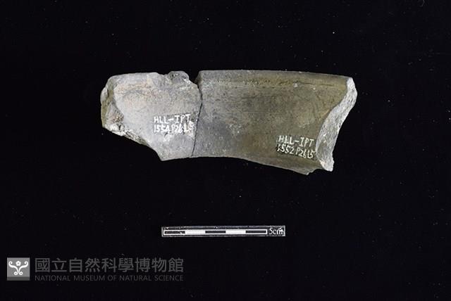 陶罐藏品圖，第2張