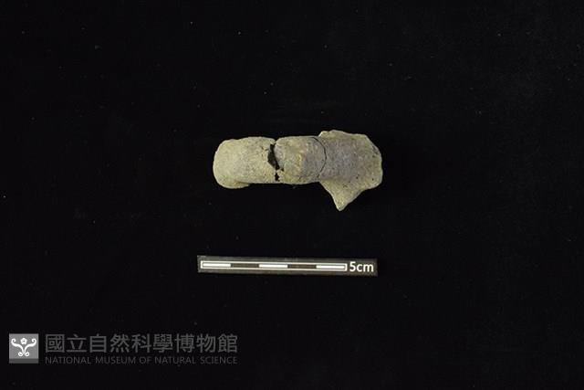 陶把藏品圖，第2張