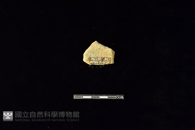 陶片藏品圖，第2張