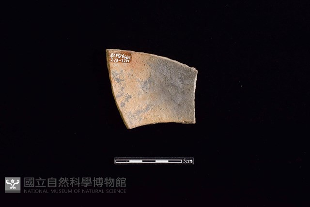 陶片藏品圖，第2張