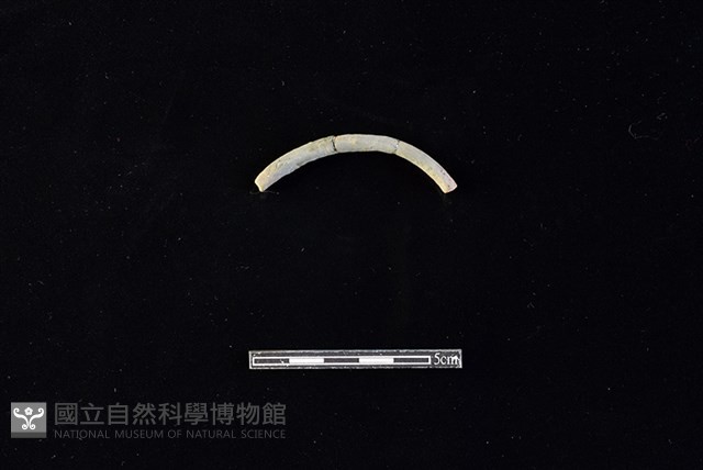 陶環藏品圖，第2張