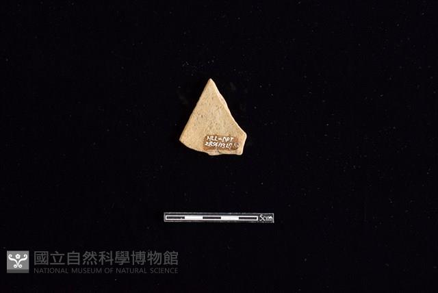 陶片藏品圖，第2張