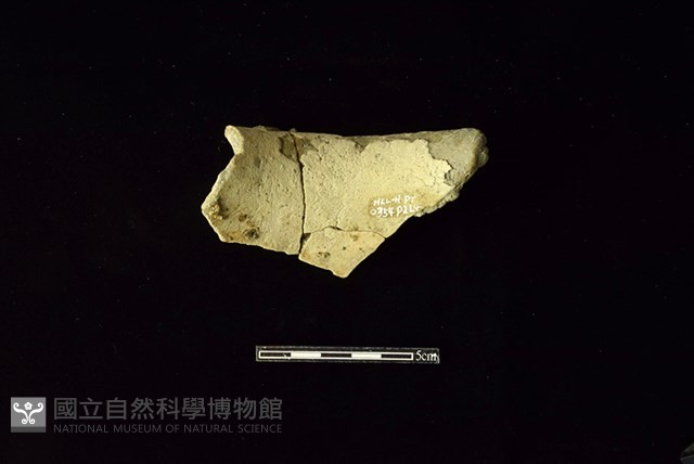 陶罐藏品圖，第2張