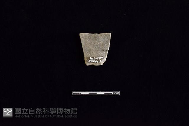 陶片藏品圖，第2張