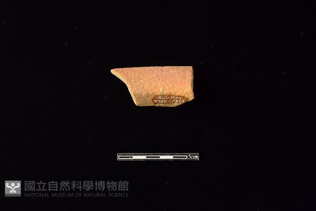 陶罐藏品圖，第2張