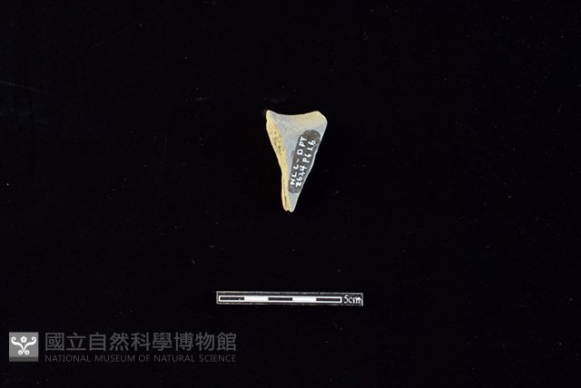 陶罐藏品圖，第2張